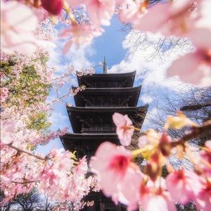 Meet your Posher, Annette